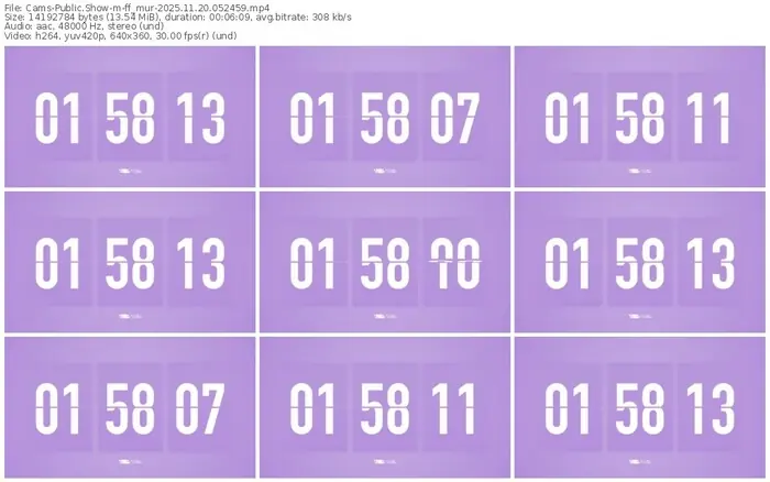 cams-ff_mur-11-20-2025-05-24-59