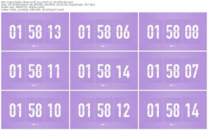 cams-ff_mur-11-20-2025-05-51-40