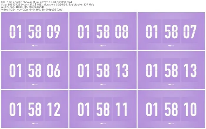 cams-ff_mur-11-20-2025-06-08-30