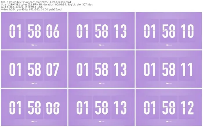 cams-ff_mur-11-20-2025-06-29-16
