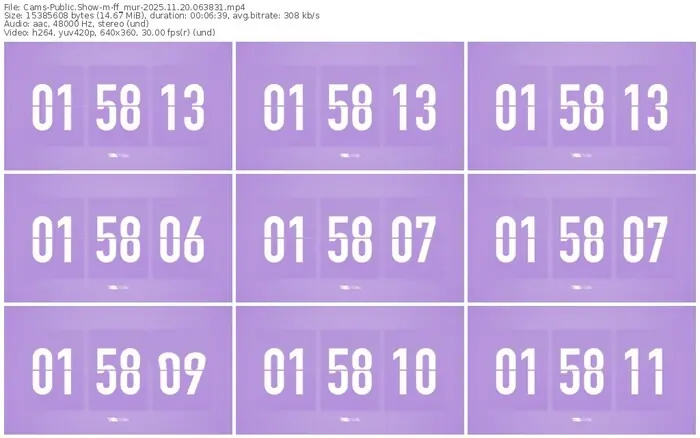 cams-ff_mur-11-20-2025-06-38-31