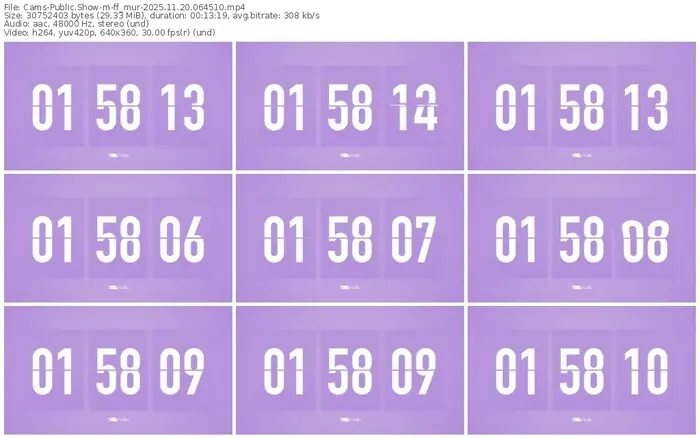 cams-ff_mur-11-20-2025-06-45-10