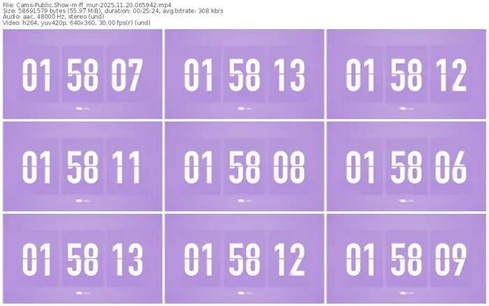 cams-ff_mur-11-20-2025-06-59-42