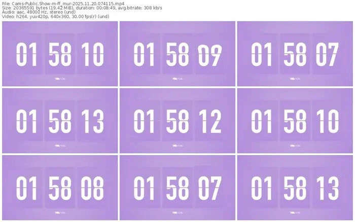 cams-ff_mur-11-20-2025-07-41-15