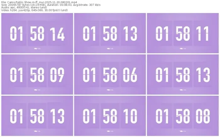 cams-ff_mur-11-20-2025-08-02-01