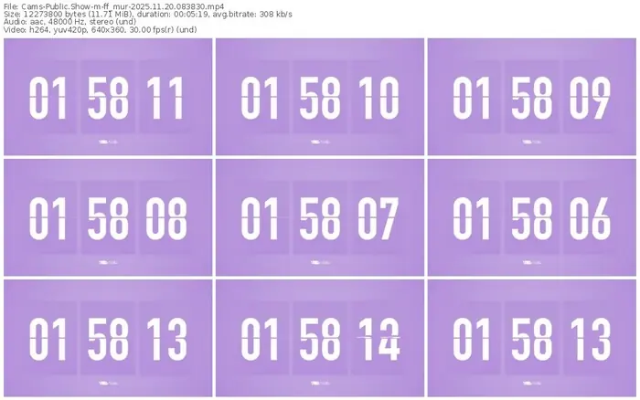 cams-ff_mur-11-20-2025-08-38-30