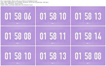 cams-ff_mur-11-20-2025-09-03-17