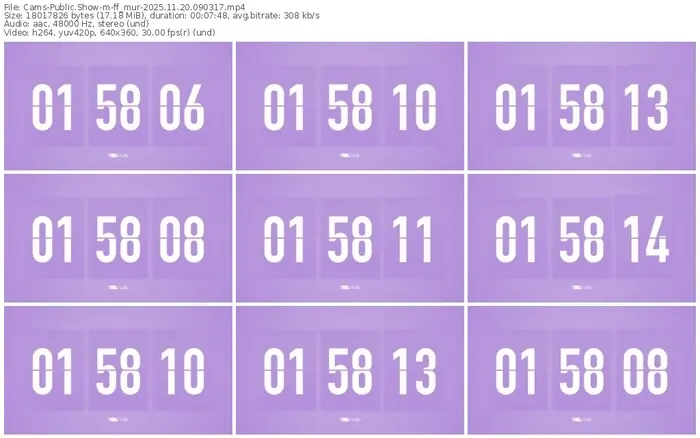 cams-ff_mur-11-20-2025-09-03-17