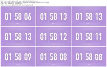 cams-ff_mur-11-20-2025-18-42-21