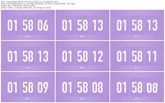 cams-ff_mur-11-20-2025-18-42-21