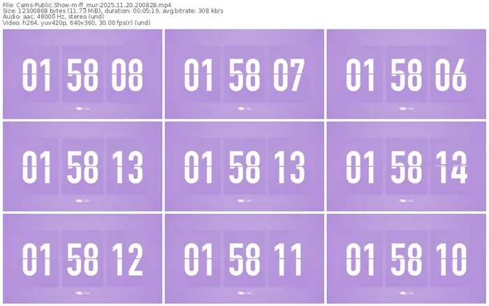 cams-ff_mur-11-20-2025-20-08-28