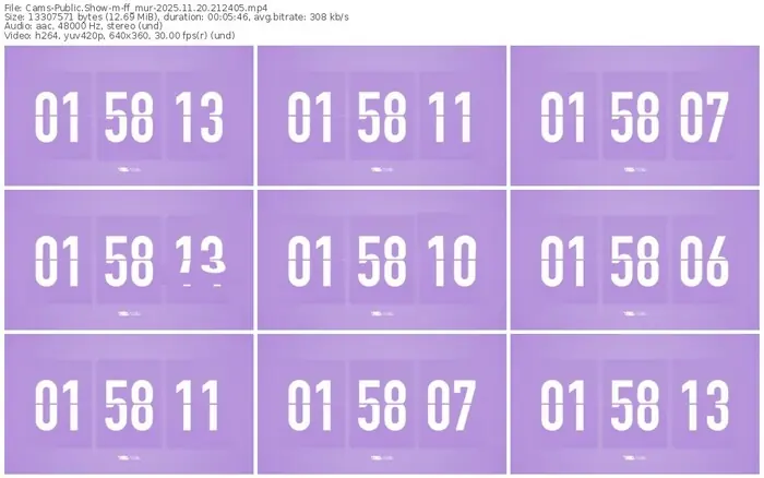 cams-ff_mur-11-20-2025-21-24-05