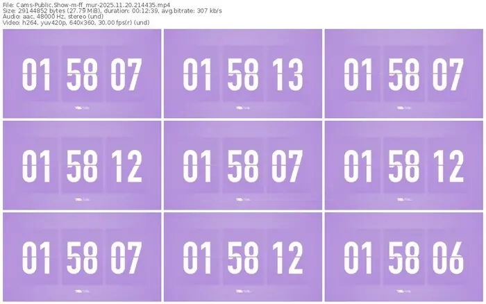 cams-ff_mur-11-20-2025-21-44-35