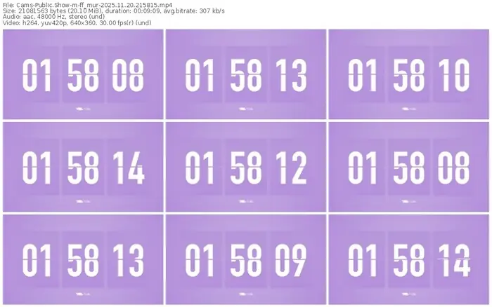 cams-ff_mur-11-20-2025-21-58-15