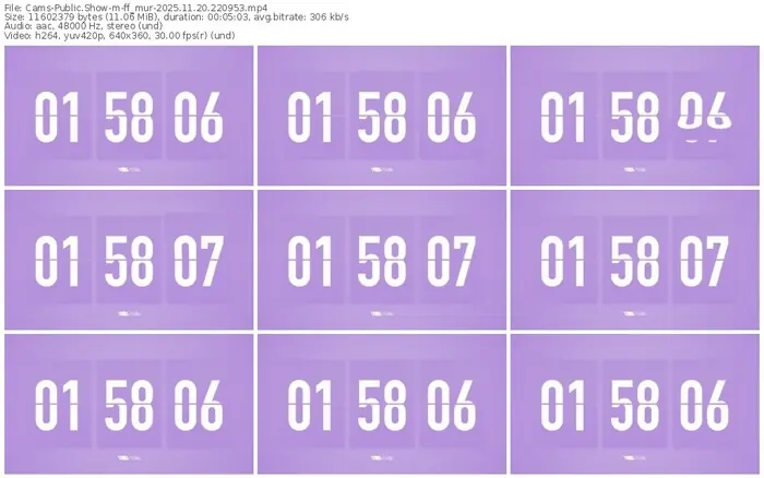 cams-ff_mur-11-20-2025-22-09-53