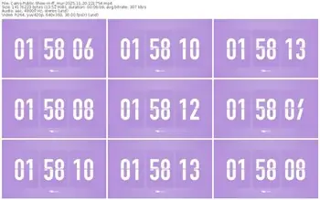 cams-ff_mur-11-20-2025-22-17-54