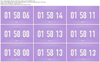 cams-ff_mur-11-20-2025-22-25-05