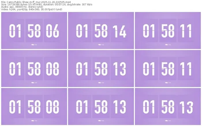 cams-ff_mur-11-20-2025-22-25-05