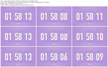 cams-ff_mur-11-20-2025-22-58-29