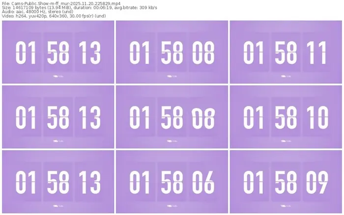 cams-ff_mur-11-20-2025-22-58-29