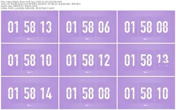 cams-ff_mur-11-20-2025-23-12-18