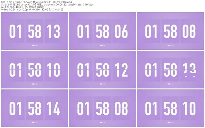 cams-ff_mur-11-20-2025-23-12-18