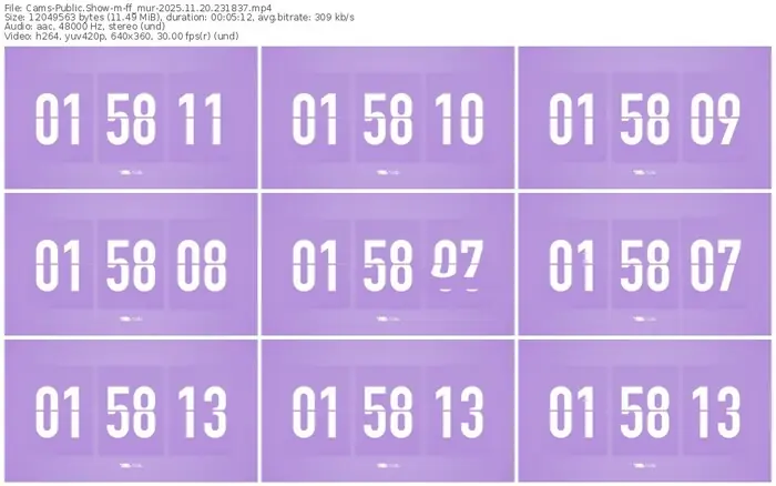 cams-ff_mur-11-20-2025-23-18-37