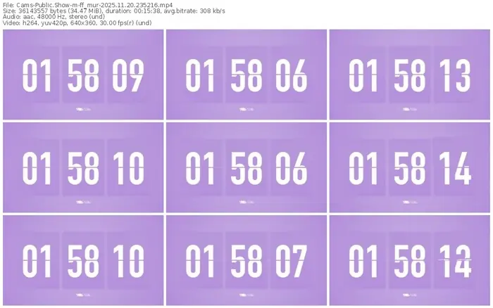 cams-ff_mur-11-20-2025-23-52-16