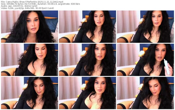 cams-perfectits-11-21-2025-11-24-42