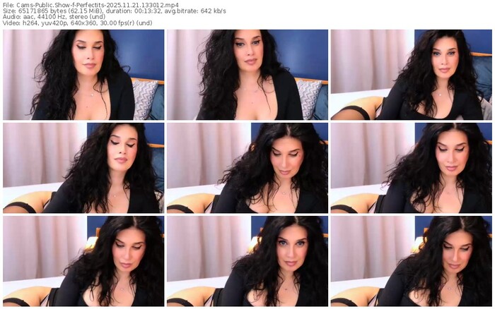 cams-perfectits-11-21-2025-13-30-12