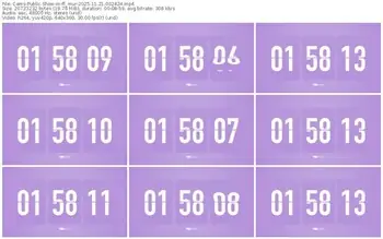 cams-ff_mur-11-21-2025-00-24-24