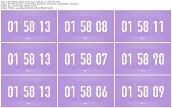 cams-ff_mur-11-21-2025-00-37-31