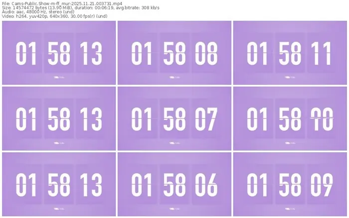 cams-ff_mur-11-21-2025-00-37-31