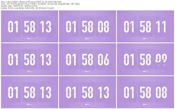 cams-ff_mur-11-21-2025-01-07-18