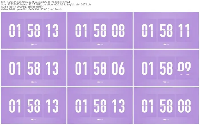 cams-ff_mur-11-21-2025-01-07-18