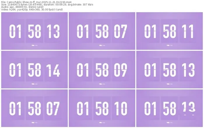 cams-ff_mur-11-21-2025-01-22-30