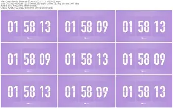 cams-ff_mur-11-21-2025-01-34-01