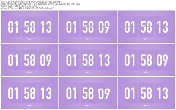 cams-ff_mur-11-21-2025-01-34-01