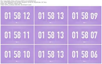 cams-ff_mur-11-21-2025-02-03-29