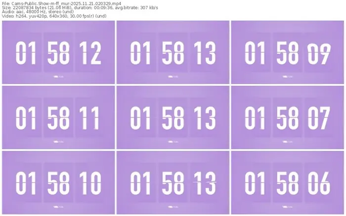 cams-ff_mur-11-21-2025-02-03-29