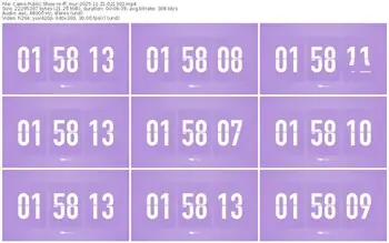 cams-ff_mur-11-21-2025-02-13-02