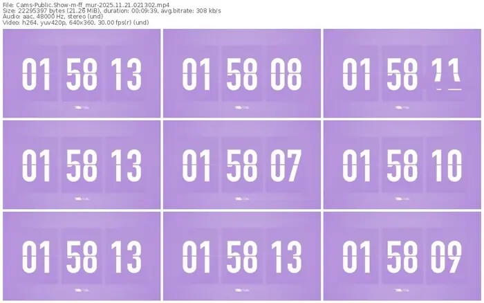 cams-ff_mur-11-21-2025-02-13-02