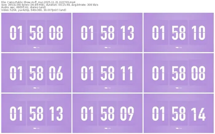 cams-ff_mur-11-21-2025-02-27-03