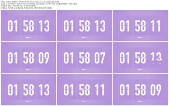 cams-ff_mur-11-21-2025-03-16-33