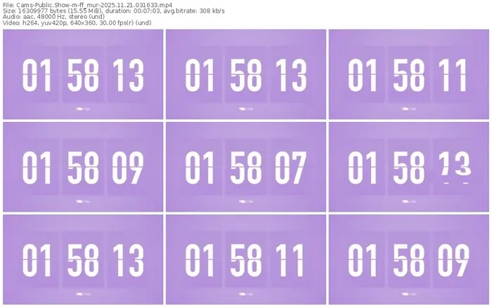 cams-ff_mur-11-21-2025-03-16-33