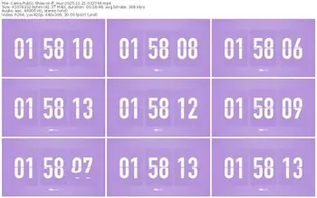 cams-ff_mur-11-21-2025-03-27-44