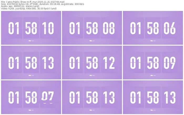 cams-ff_mur-11-21-2025-03-27-44