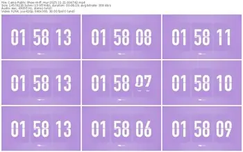 cams-ff_mur-11-21-2025-03-47-42