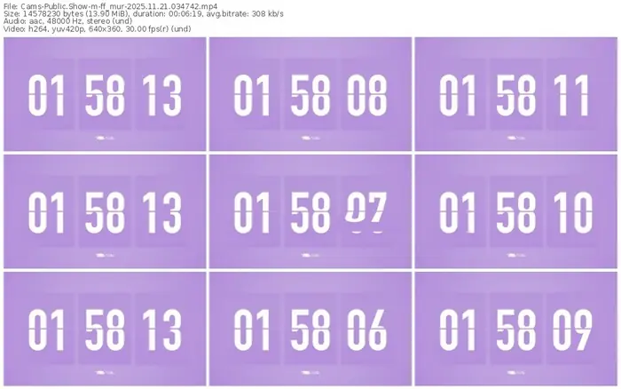 cams-ff_mur-11-21-2025-03-47-42