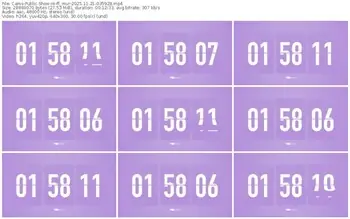 cams-ff_mur-11-21-2025-03-59-28